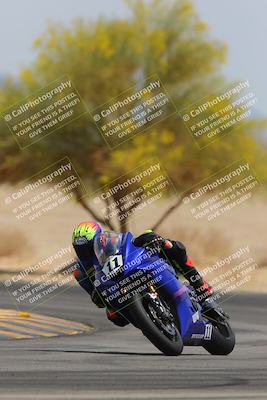 media/Apr-12-2025-Race Pace (Sat) [[9230add55f]]/Vested/6-Turn 4 Tree of Life (115pm)/